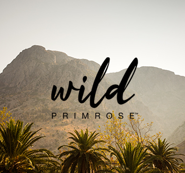 Wild-Primrose-banner1